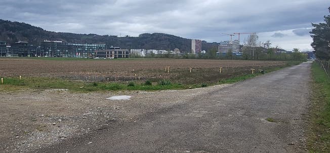 Ein Teil der Müslistrasse, die nun zur Müslispange ausgebaut werden soll, existiert bereits entlang der Baulandreserve. Im Hintergrund das Hilton Hotel an der Industriestrasse. 