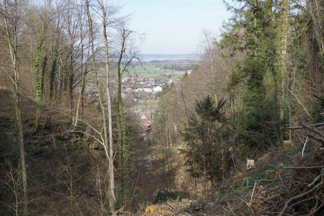 Im Tobel zwischen Rheineck und St.Margrethen öffnet sich der Blick ins Tal