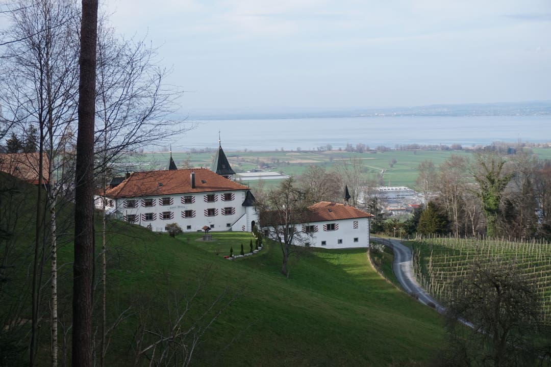 Blick über Schloss Weinberg zum deutschen Bodenseeufer.