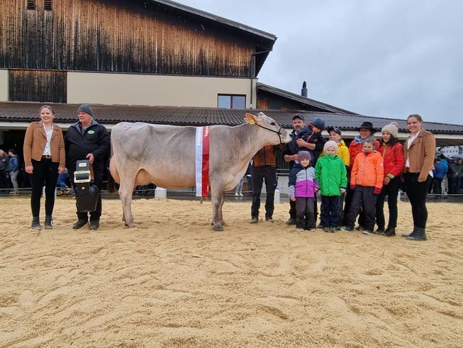 Tagessiegerin bei den Brown Swiss Kühen wurde die Kuh Alpinstar Jule von Dominik Durrer, Hostett.
