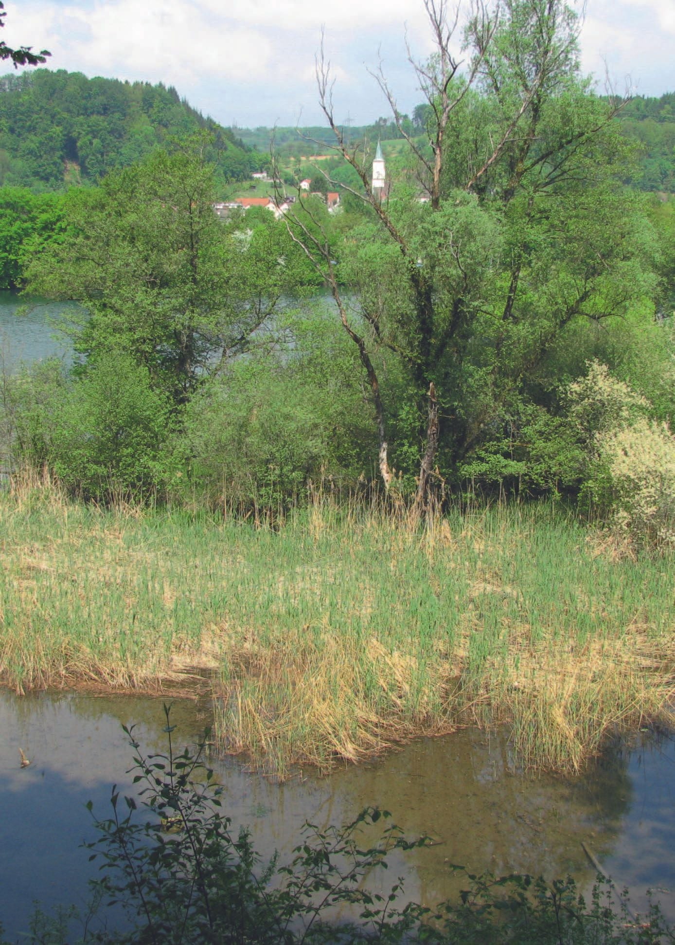 Bildergalerie - Rheinuferweg