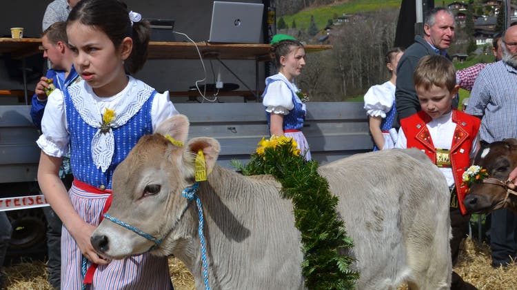 Miss Neckertal Brown Swiss wurde die Kuh Lennox Kally von Christian Näf aus Brunnadern. (Bild: Ruedi Roth)