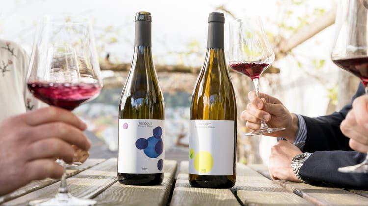 Neue Etiketten, neuer Winemaker: Die Gebrüder Florian und Michael Wanner wollen die besten Weine im Aargau machen (im Bild der Pinot Noir und der famose Sauvignon Blanc). (Sandra Ardizzone / LUW)