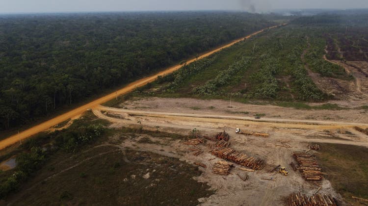 Ein abgeholzter Regenwald im Amazonas-Gebiet. (Bild: Edmar Barros / AP)