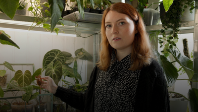 «Gewisse Pflanzen kosten pro Blatt über 100 Franken»: 24-jährige Fulenbacherin gibt Einblick in ihr tropisches Pflanzenparadies
