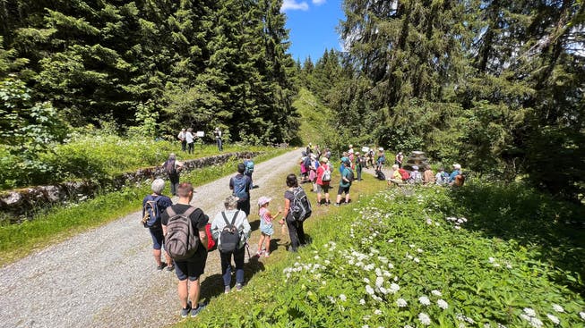 Der Klangweg zwischen Iltios und Schwendisee ist ein beliebtes Ausflugsziel.