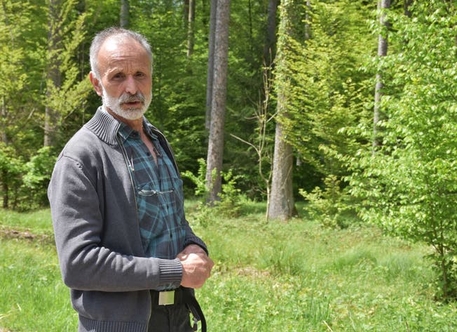 Der Basadinger Alt-Förster Walter Ackermann ist ein Experte der Dauerwaldbewirtschaftung.