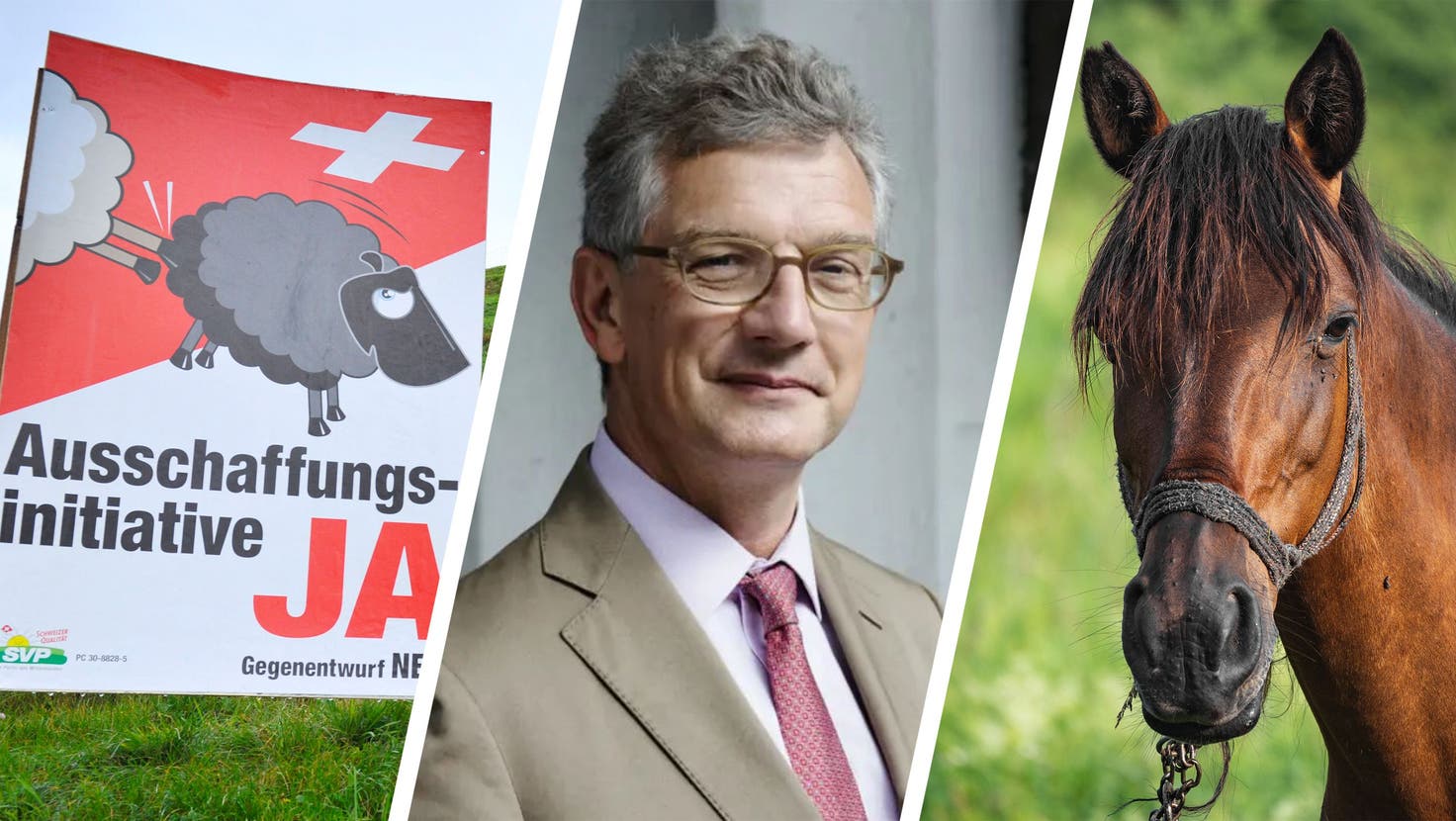 Bekanntester Politwerber des Landes: Alexander Segert, SVP-Mitglied und neuerdings Pferdehändler. (Bild: zvg)