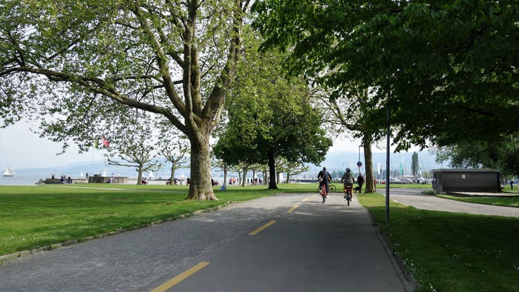 Zwei Velofahrer auf dem Weg an die Arboner Seepromenade. Der Bodenseeradweg verläuft hier direkt dem Ufer entlang.