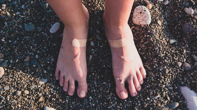 Die scharfkantigen Quaggamuscheln können bei Badegästen zu Schnittverletzungen führen. (Bild: Getty)
