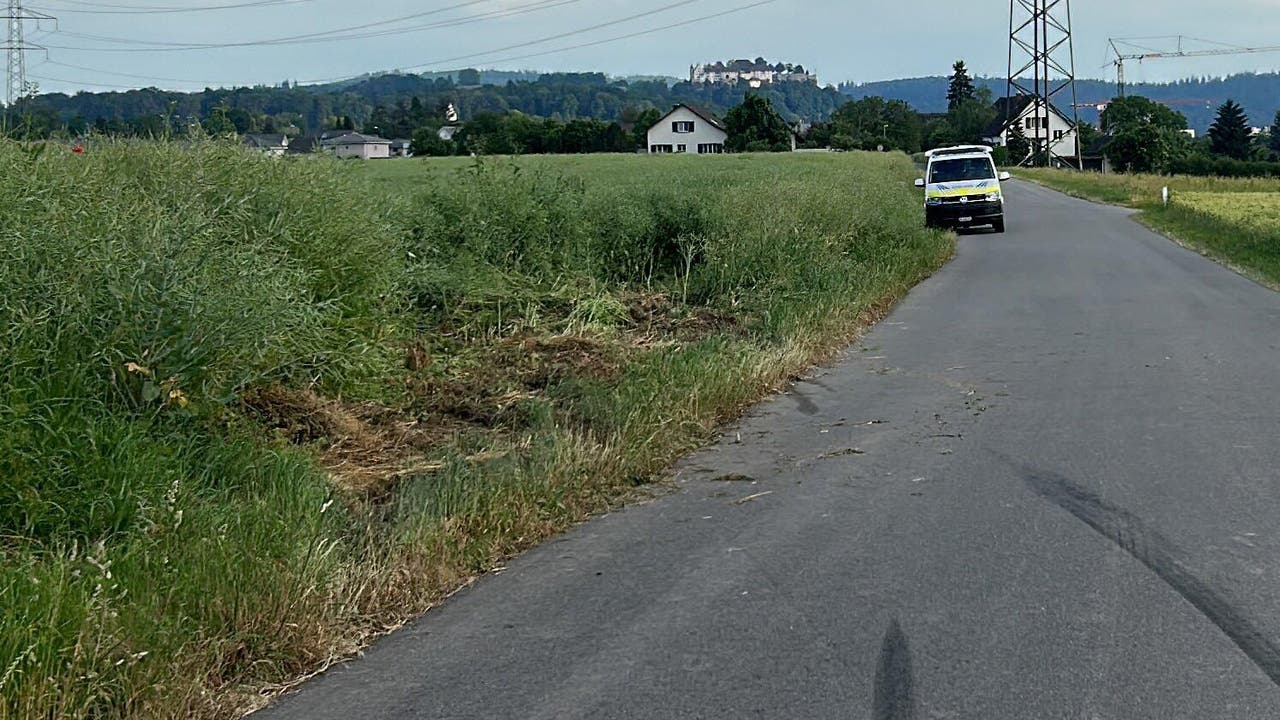 Wildegg, 3. Juni: Ein BMW-Fahrer geriet in ein Rapsfeld und hinterliess grossen Landschaden. Statt den Unfall zu melden, verschwand er aber.