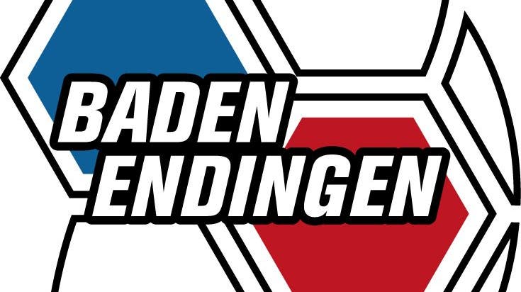 Ein Handball, zwei farbige Sechsecke und der Teamname: Das Logo der HSG Baden-Endingen (Zvg / zvg)