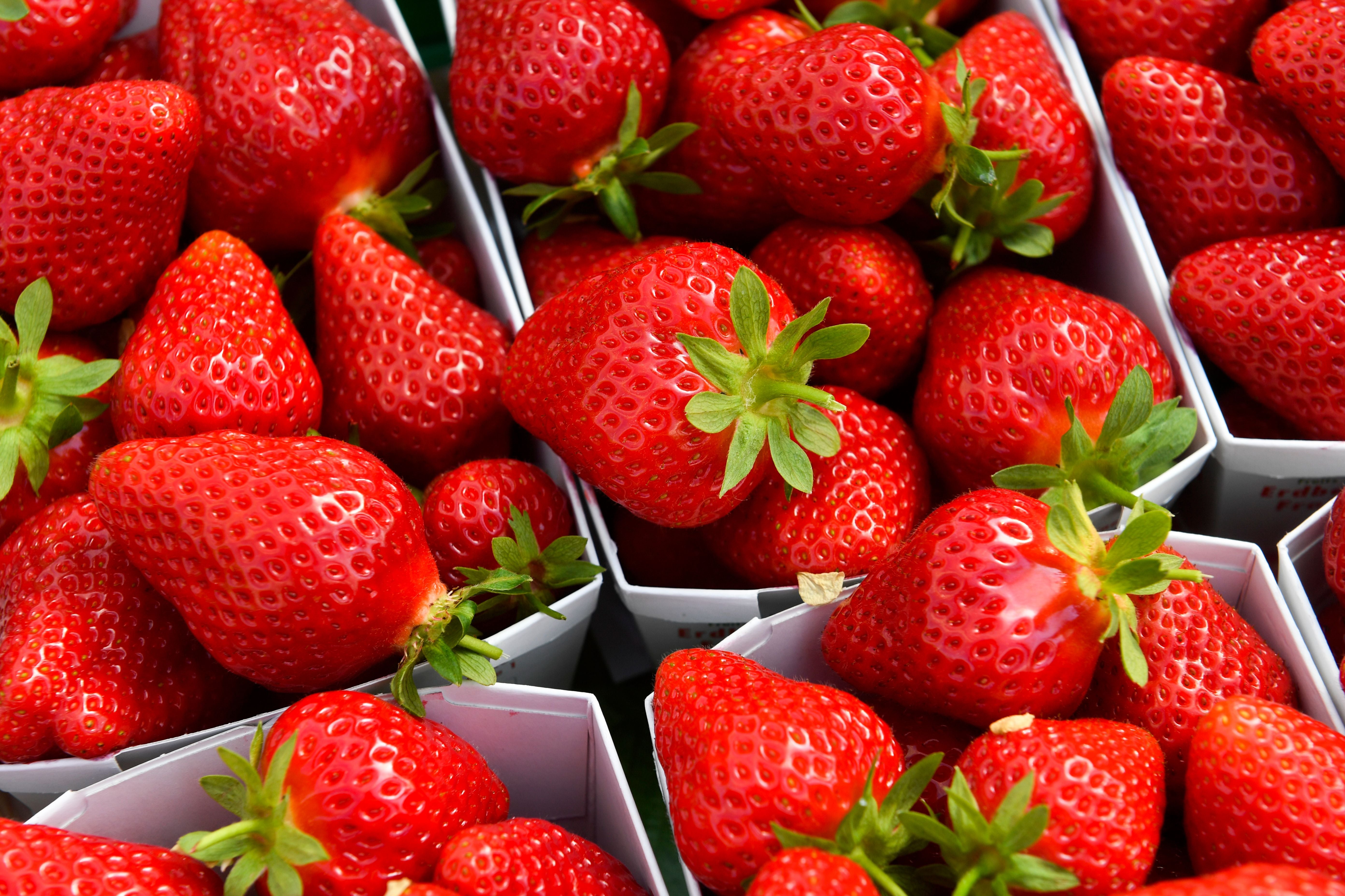 Thurgauer Erdbeeren sind reif: «So viele wie noch nie»