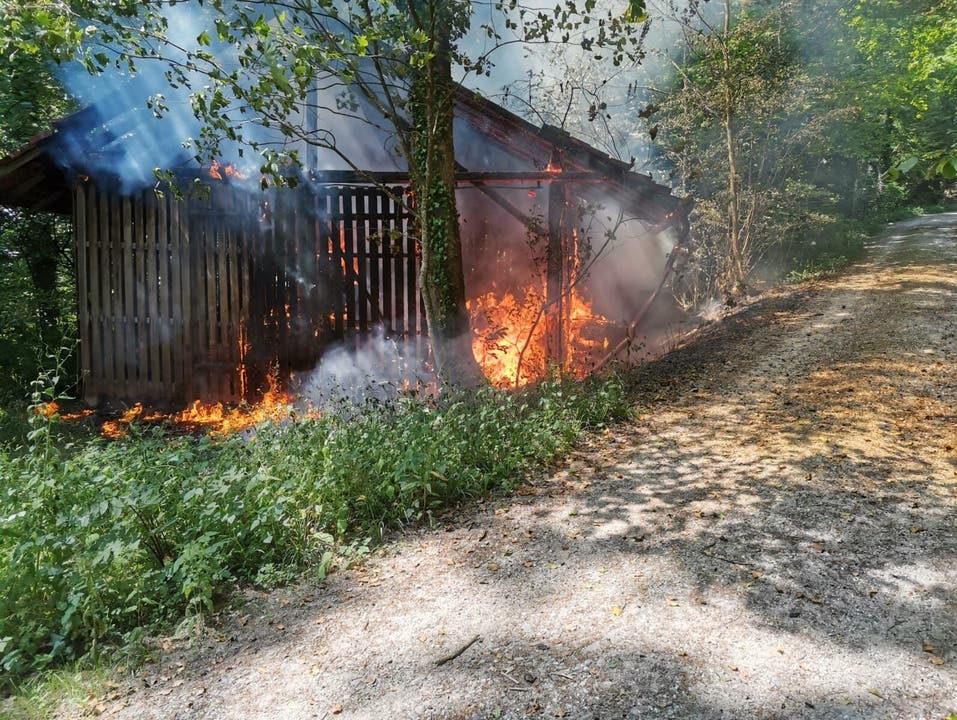 Seengen, 16. Juni: Ein Holzschopf im Wald brannte vollständig ab. Verletzt wurde niemand. Die Brandursache ist unklar. 