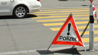 Achtung, Polizei! (Bild: Matthias Scharrer)