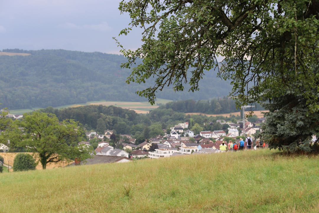 Blick nach Würenlos: Nach dem Weg über die Krete durch den Wald tauchte das Aargauer Dorf erstmals auf.
