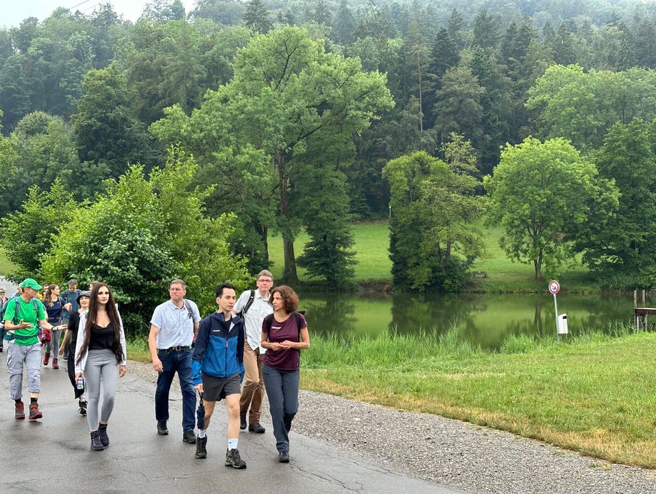 Am oberen Dorfrand von Weiningen marschierten die Wandersleute am Weininger Weiher im Wiesentäli über einen der kleinsten Staudämme der Schweiz.