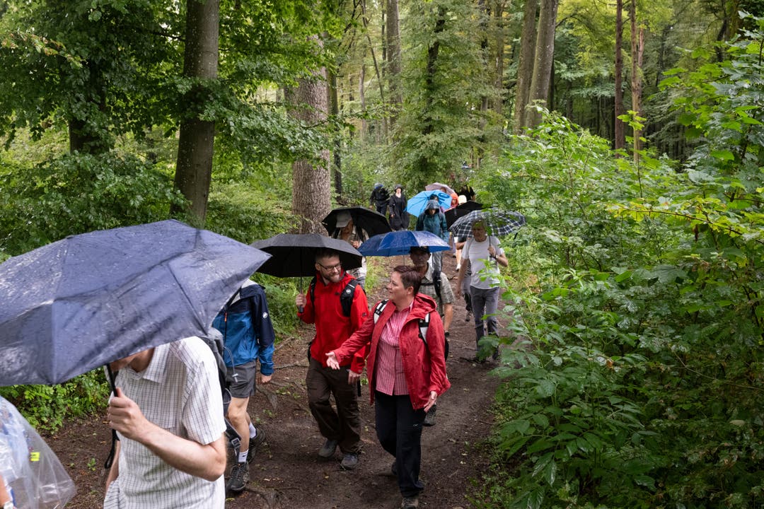 Der Regenschirm ist wichtig auf der ersten Etappe des Leserwandern 2023, 1. Etappe von Weiningen ZH über den Altberg nach Würenlos AG, 12. Juli 2023.