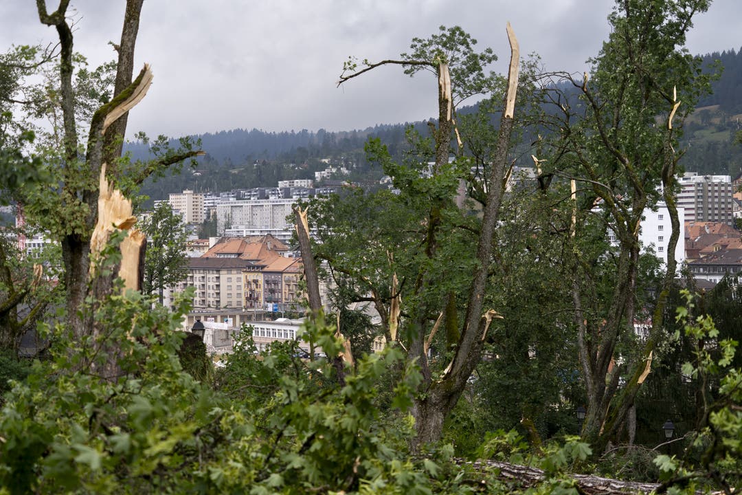 Abgebrochene Bäume in La Chaux-de-Fonds.
