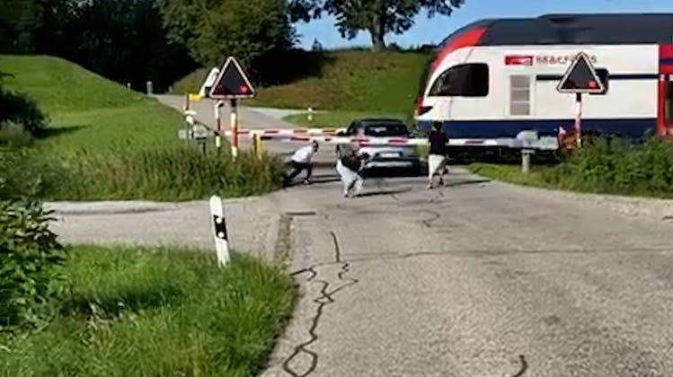 Video zeigt Zug-Crash bei Hinwil: Familie kann sich in letzter Sekunde in Sicherheit bringen