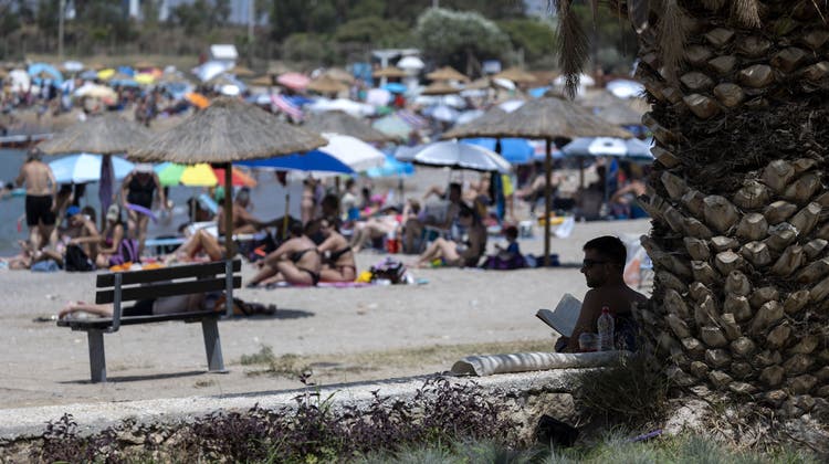 Ein Mann muss sich am Strand von Glyfada mit einem Platz unter der Palme im Park begnügen; dieser ist zumindest kostenlos. (Bild: Yorgos Karahalis/AP)