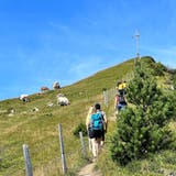 Sommerwanderung im Glaubenberggebiet in Richtung Fürstein, hier der Aufstieg zum Rickhubel. (Bild: Jérôme Martinu (13. 8. 23))