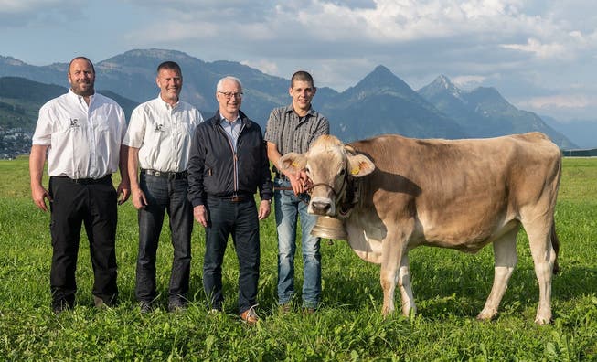Das trächtige Rind «Nagira» ist der Siegerpreis am diesjährigen Allweg-Schwinget. Präsentiert von Züchter Christian Lussi, Bruno von Wyl als Vertreter der Firma Leister (Spender), OK-Präsident Werner Durrer sowie seinem Nachfolger Thomas Achermann (von rechts).