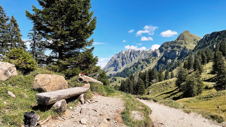 Die schönsten Bilder des Alpenpanoramawegs von der Schwägalp nach Stein SG. (Bilder: Samuel Ryter)