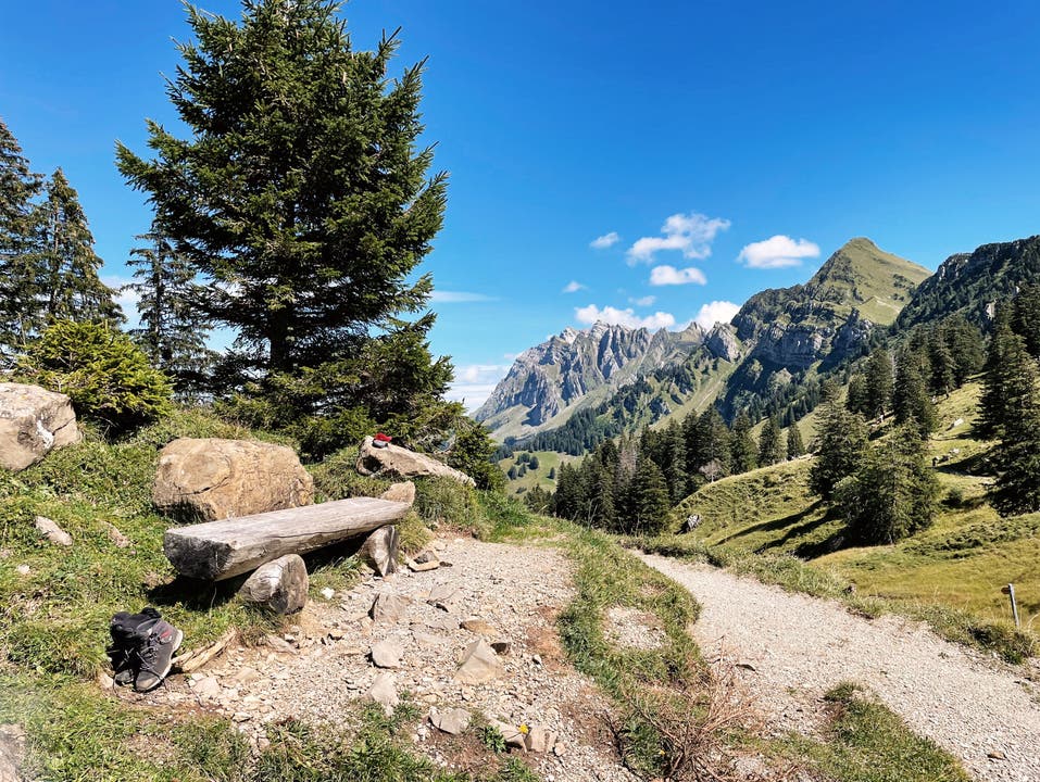 Die schönsten Bilder des Alpenpanoramawegs von der Schwägalp nach Stein SG.