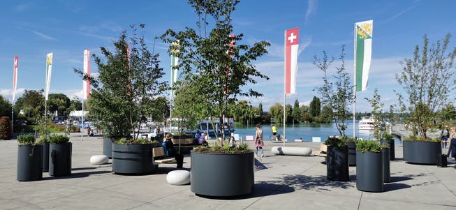 Die neue Stadtinsel am Kreuzlinger Hafenplatz.