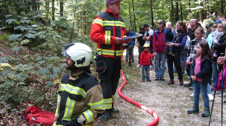 Feuerwehr löscht Waldbrand