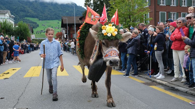Lenia Frank mit ihrer Lieblingskuh von der Alp Unter und Ober Ochsenweid. (Bild: Richard Greuter (Ennetbürgen, 23.9.2023))