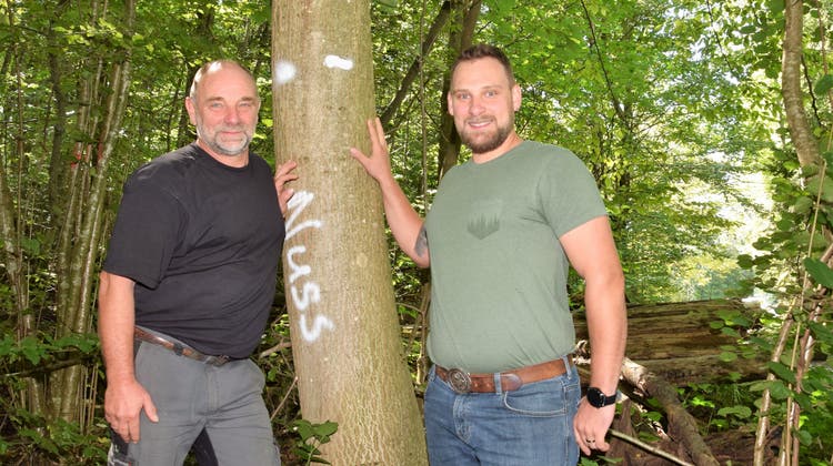 Förster Urs Meyer gibt die Leitung des Forstbetriebs Lindenberg allmählich an seinen Sohn Silvan ab. Der Nussbaum ist auffällig markiert, damit er bei den anstehenden Arbeiten im Forst stehen bleibt. (Bild: Michael Hunziker)