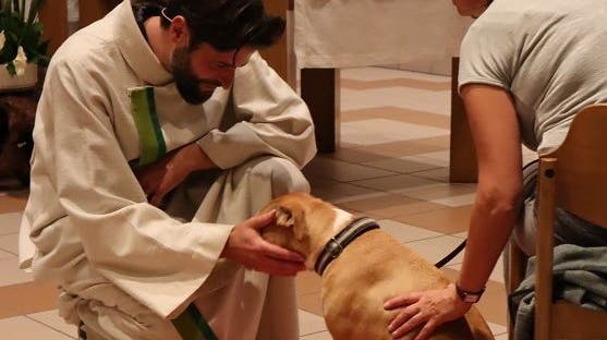 Interessierte können am Freitag ihre Haustiere mit an den Gottesdienst nehmen. (Bild: zvg)