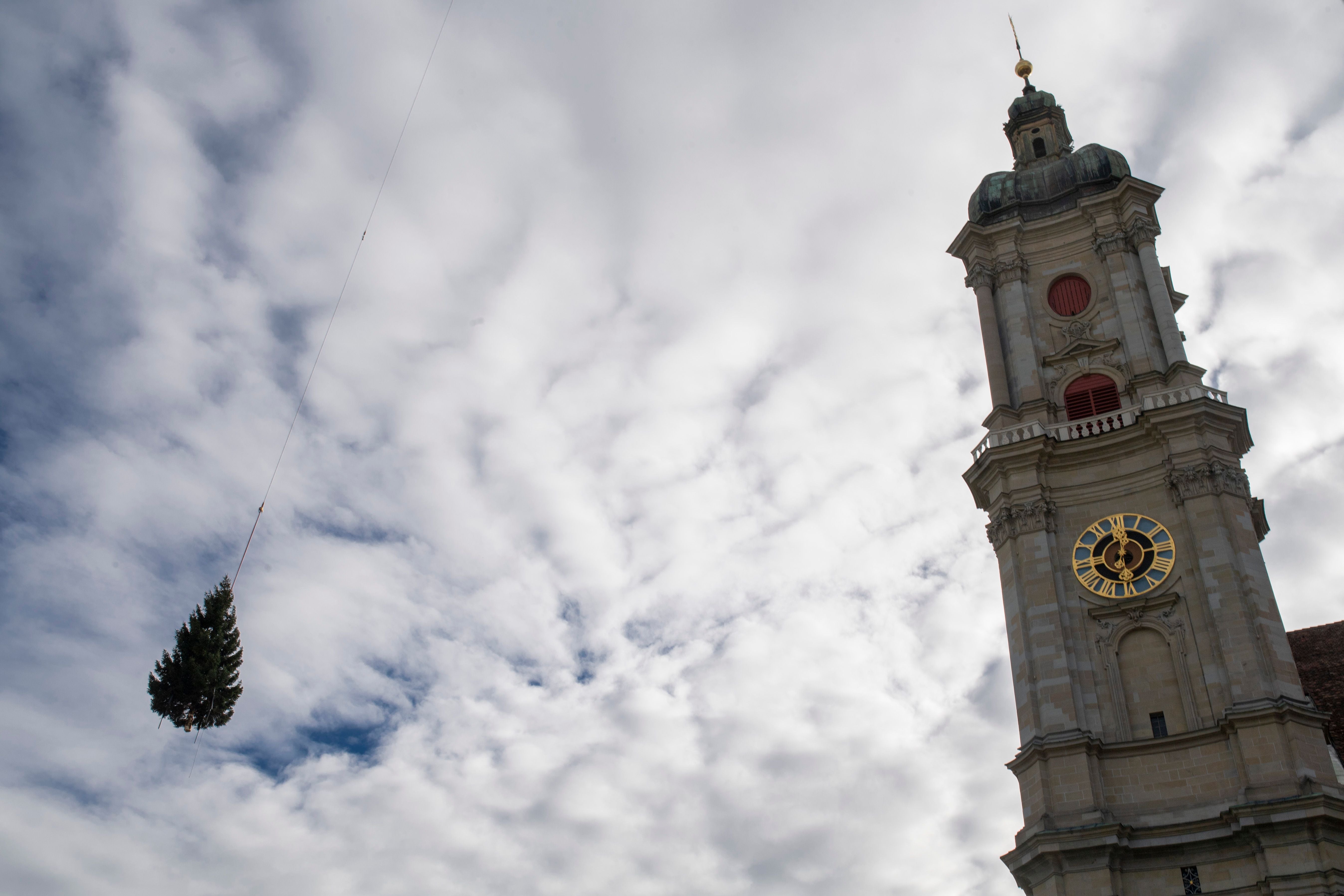 St.Galler Christbaum 2023: Die Fichte Ist Auf Dem Klosterplatz Gelandet