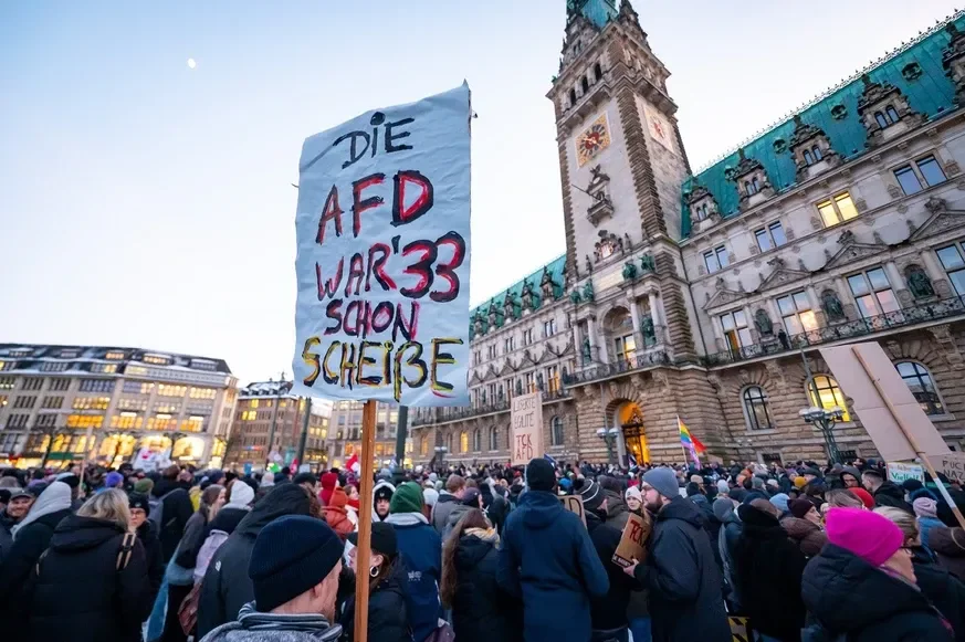 Warum Ein AfD-Verbot Nicht Ratsam Wäre - Interview Mit ...