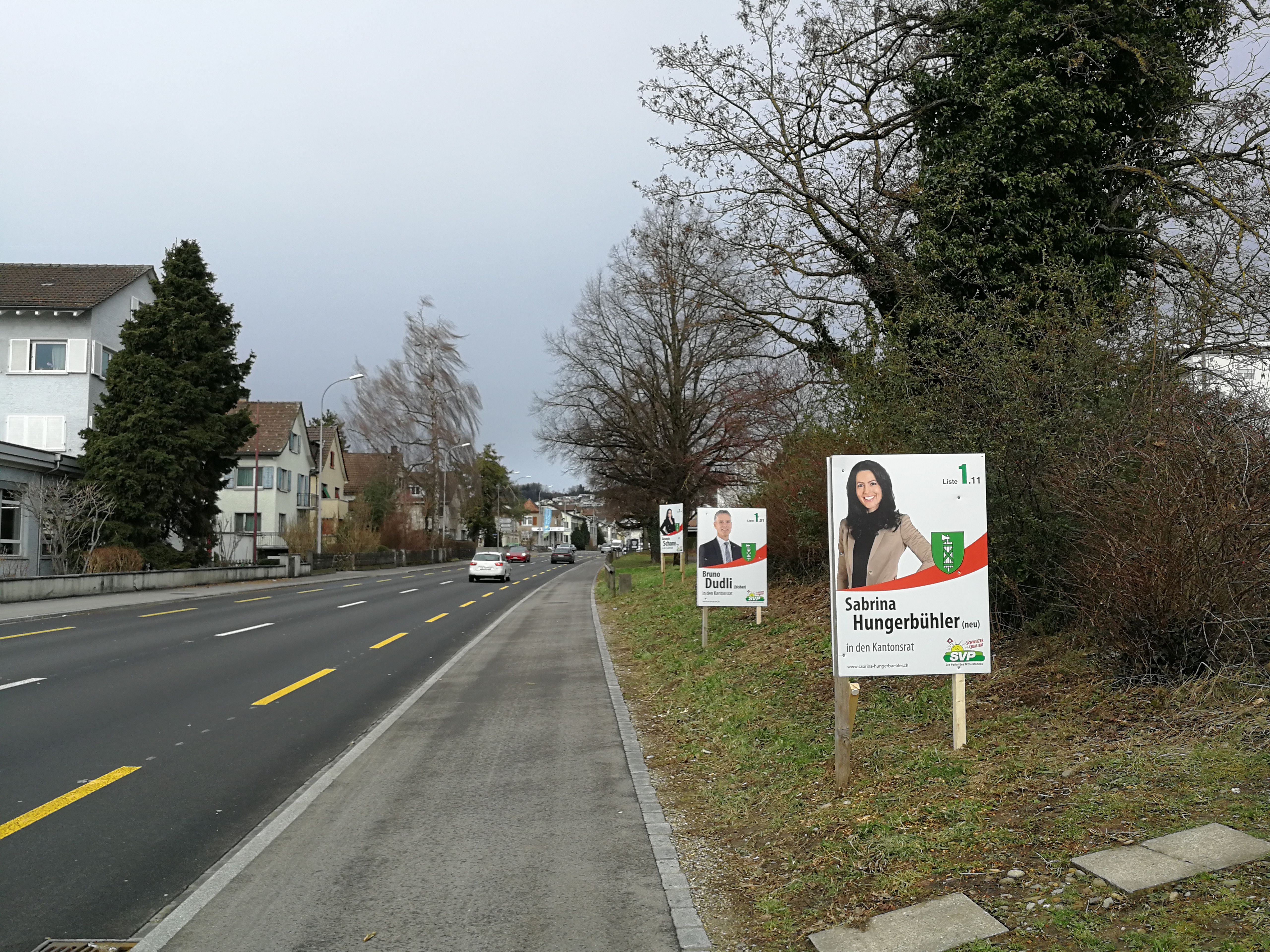 SVP-Kreispartei Wil Muss Wahlplakate überkleben Weil Kantonswappen ...