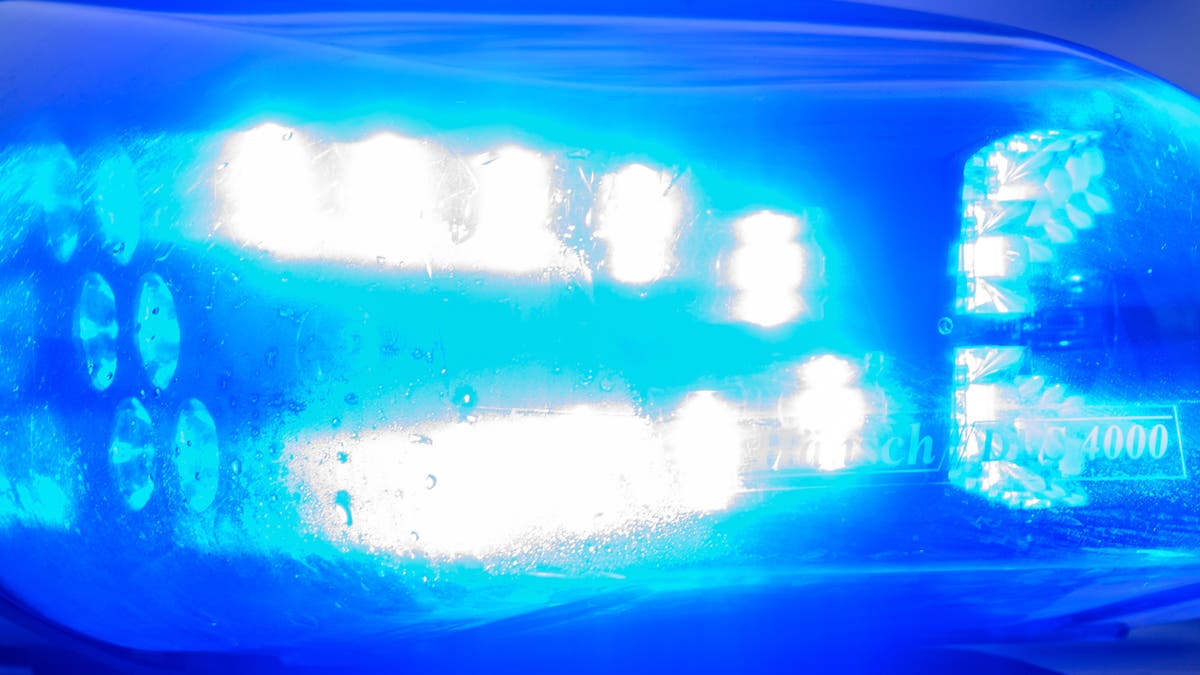 Polizeikontrolle: Kelle, Blaulicht und Sirene – an diese Regeln muss sich  die Polizei halten