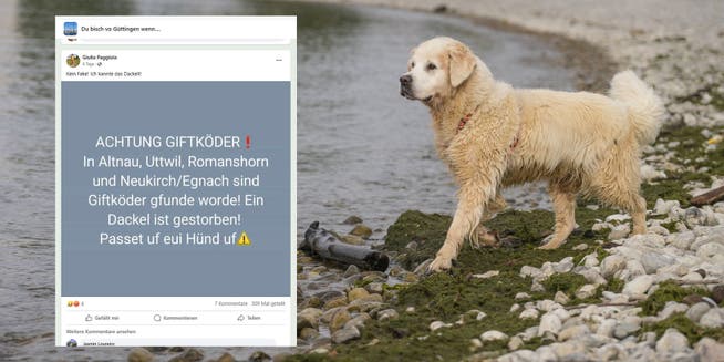 In verschiedenen Facebook-Gruppen kursieren Warnungen vor Giftködern. Ein Hund sei wegen einer Vergiftung gestorben.