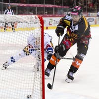 Eishockey: Auch Zug-Bern und Lausanne-Davos wird im 7. Spiel entschieden ++ GC entlässt Sportchef Bernt Haas