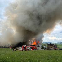 Komplett ausgebrannt und Dach eingestürzt: Beim Brand in zwei Schweineställen in Gossau sind 800 Tiere verendet