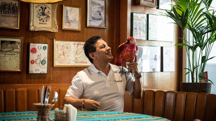 Rodolfo Facundo hat Gefallen gefunden am Papagei in der Hinterlauben. Seit Anfang Mai wirtet der Peruaner im St.Galler Traditionslokal. (Bild: Andrea Stalder)