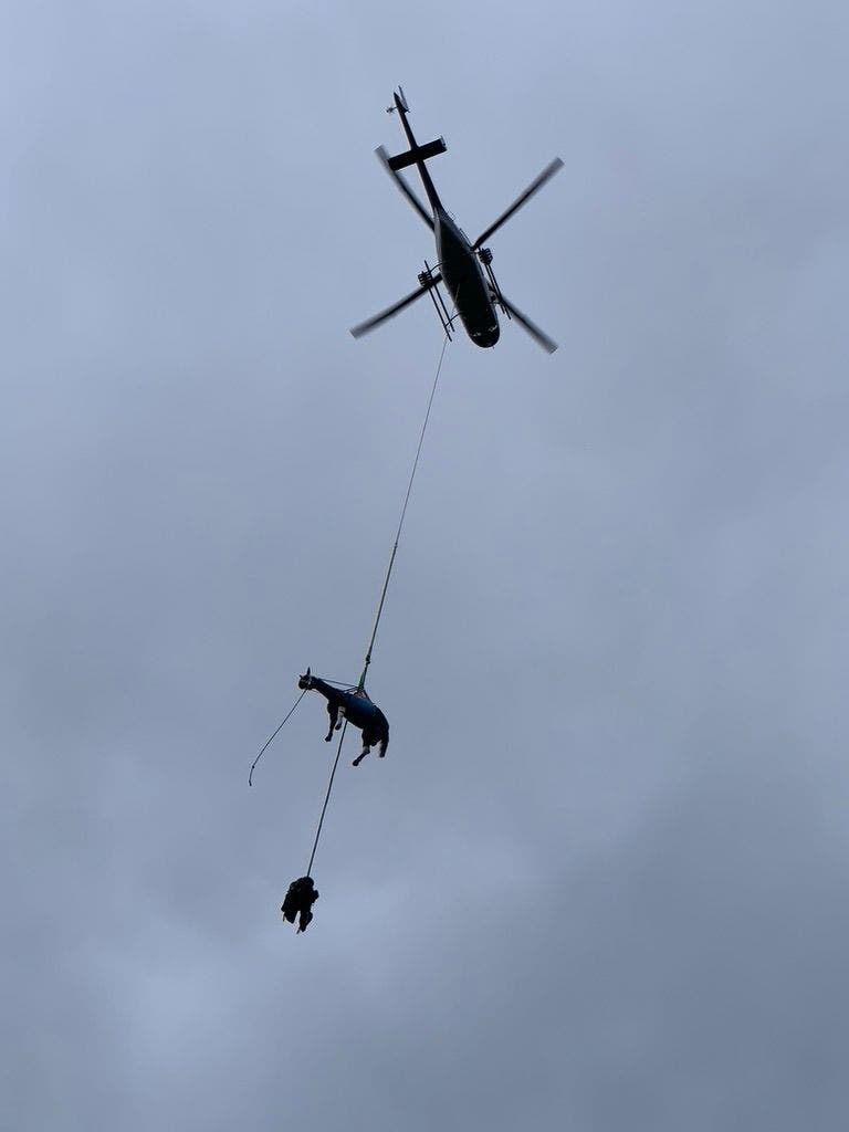 Ein Heli fliegt das gestürzte Pferd ins Tierspital im Sommer 2024.