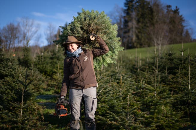 Franziska Steiner-Kaufmann trägt einen Christbaum.