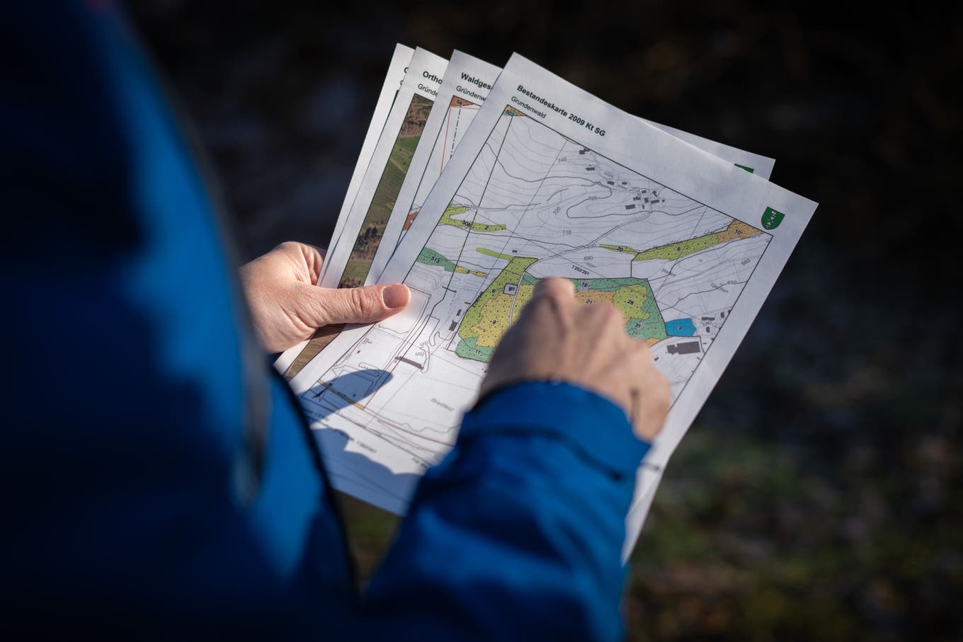 In Lüchingers Karten sind klimaangepasste Baumarten eingezeichnet.