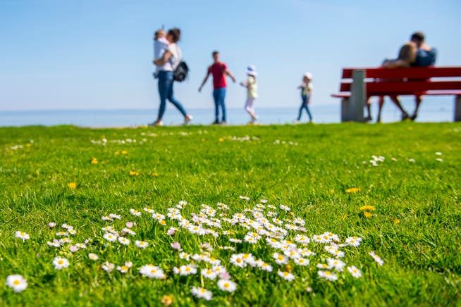 Switzerland: Weather forecast awakens spring feelings Switzerland: Weather forecast awakens spring feelings