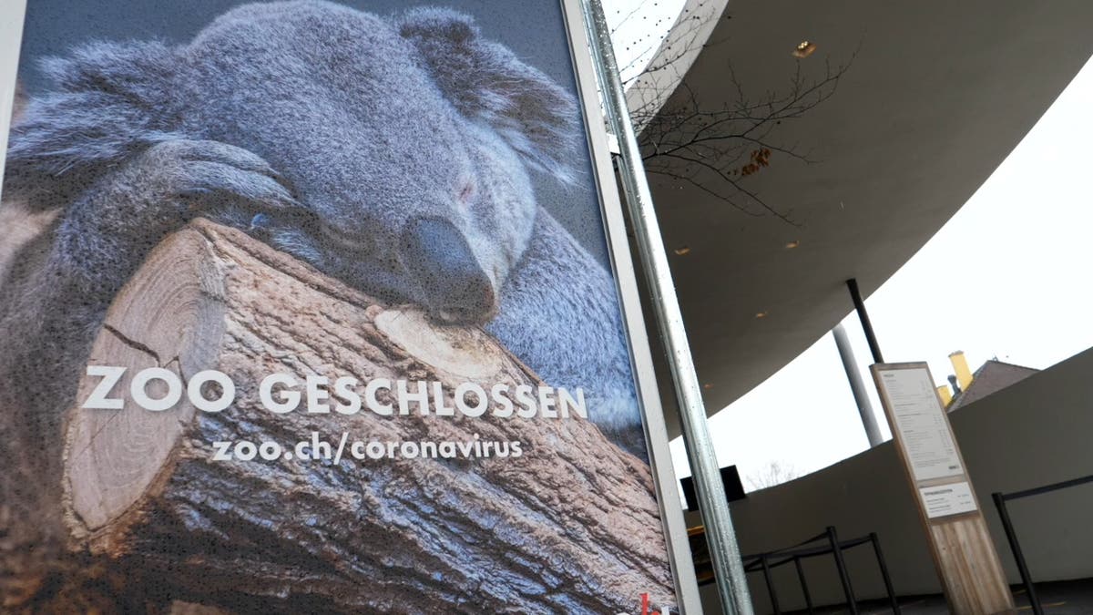 Geschlossen - «Es wird immer schwieriger»: Weshalb der Zoo ...