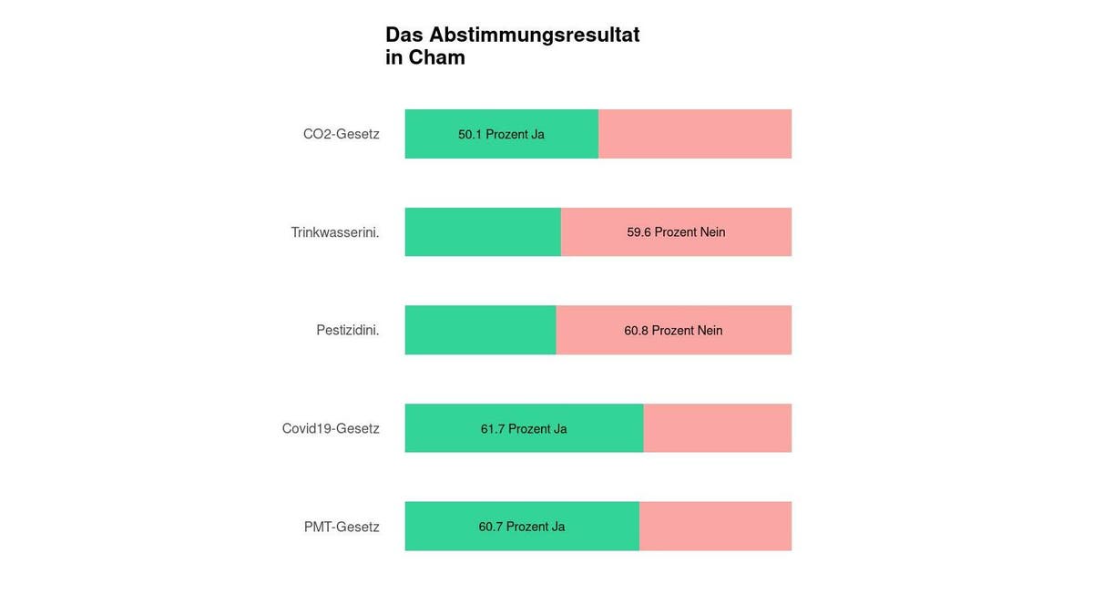 Abstimmung - Wenige Stimmen sorgen in Cham für ein Ja zum ...